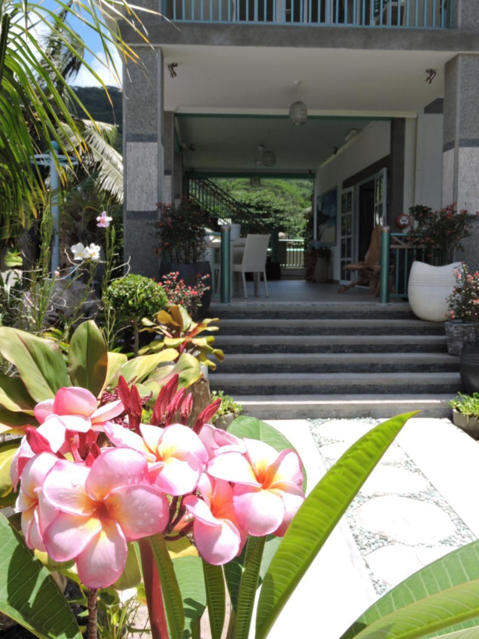 لا ديج Villa Charme De L'Ile المظهر الخارجي الصورة